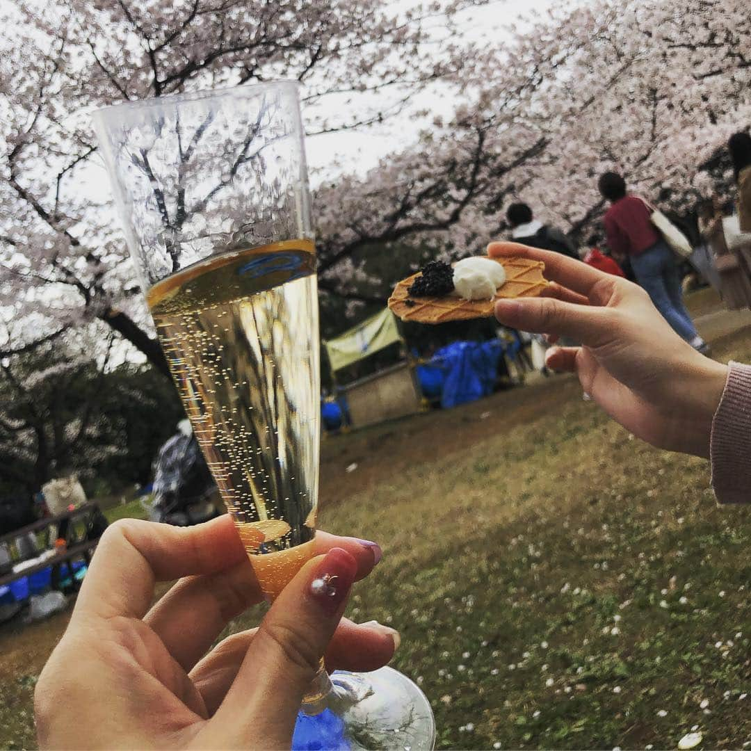 鈴木蛍さんのインスタグラム写真 - (鈴木蛍Instagram)「代々木公園で持ち寄ってちゃんとお花見して来たよ🌸 雨がパラついたり気温も低めだったけど、なんとかやり切った‼︎ #代々木公園 #お花見 #飲兵衛 #雨のち晴れ女 #贅沢花見」4月3日 15時01分 - jphotaru