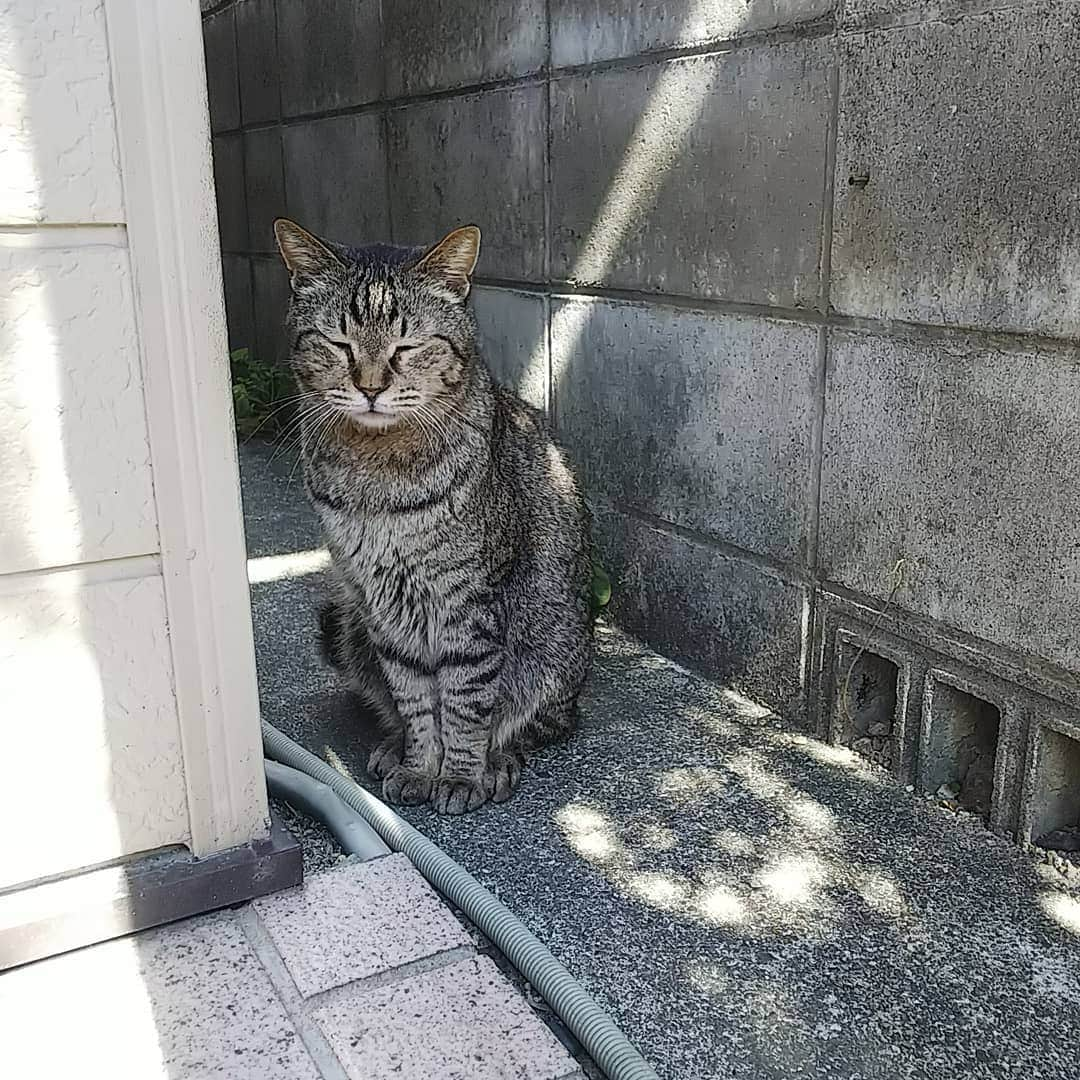 三宅裕子のインスタグラム