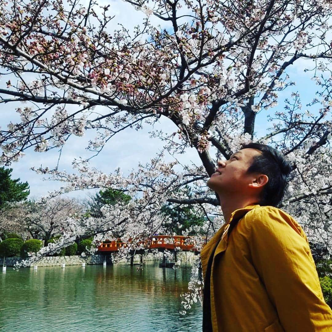 倉橋友和さんのインスタグラム写真 - (倉橋友和Instagram)「#メーテレ #アップ 今日の#桜 キャラバンは#三重県 #桑名市 #九華公園 から生中継🌸#修作さん 準備万端です🎤 #メーテレアップ #アップは午後3時46分から #アップの特集は午後6時15分から #南田あゆみ さん #アナウンサー #鈴木しおり #星恭博 #石神愛子 #倉橋友和 #気象予報士 #修作さん #冨永幸」4月3日 15時24分 - nbn_kurahashi