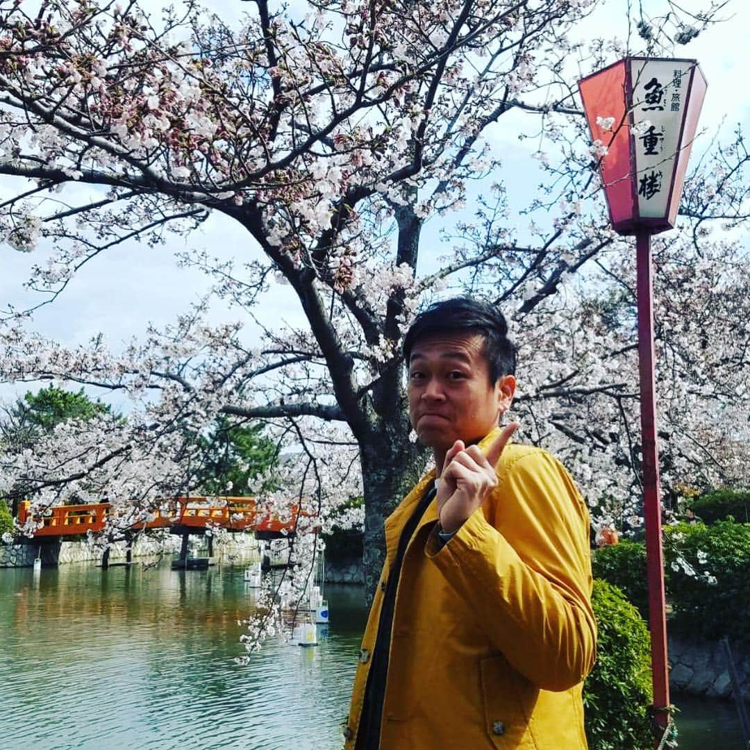 倉橋友和さんのインスタグラム写真 - (倉橋友和Instagram)「#メーテレ #アップ 今日の#桜 キャラバンは#三重県 #桑名市 #九華公園 から生中継🌸#修作さん 準備万端です🎤 #メーテレアップ #アップは午後3時46分から #アップの特集は午後6時15分から #南田あゆみ さん #アナウンサー #鈴木しおり #星恭博 #石神愛子 #倉橋友和 #気象予報士 #修作さん #冨永幸」4月3日 15時24分 - nbn_kurahashi