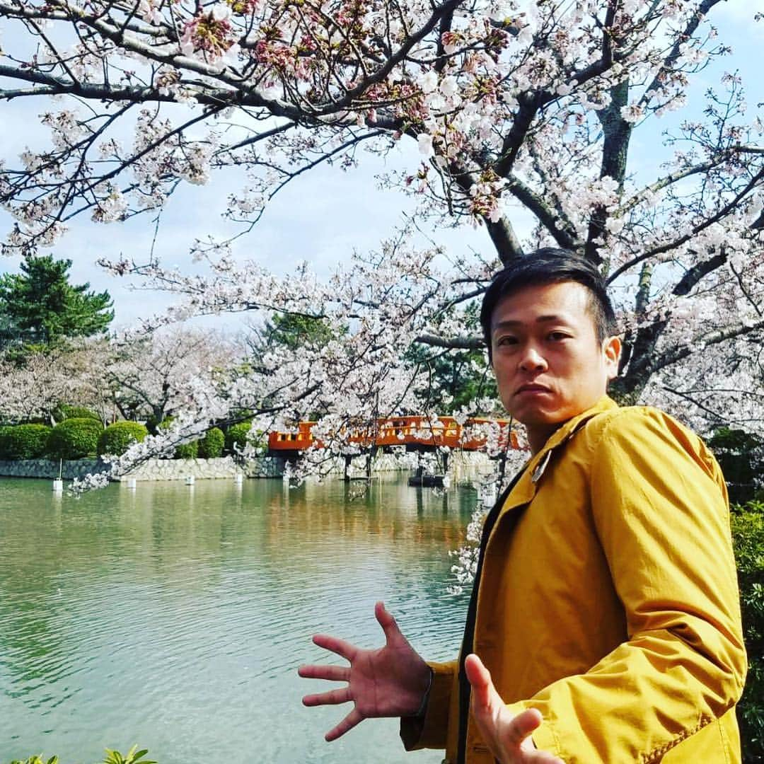 倉橋友和さんのインスタグラム写真 - (倉橋友和Instagram)「#メーテレ #アップ 今日の#桜 キャラバンは#三重県 #桑名市 #九華公園 から生中継🌸#修作さん 準備万端です🎤 #メーテレアップ #アップは午後3時46分から #アップの特集は午後6時15分から #南田あゆみ さん #アナウンサー #鈴木しおり #星恭博 #石神愛子 #倉橋友和 #気象予報士 #修作さん #冨永幸」4月3日 15時24分 - nbn_kurahashi