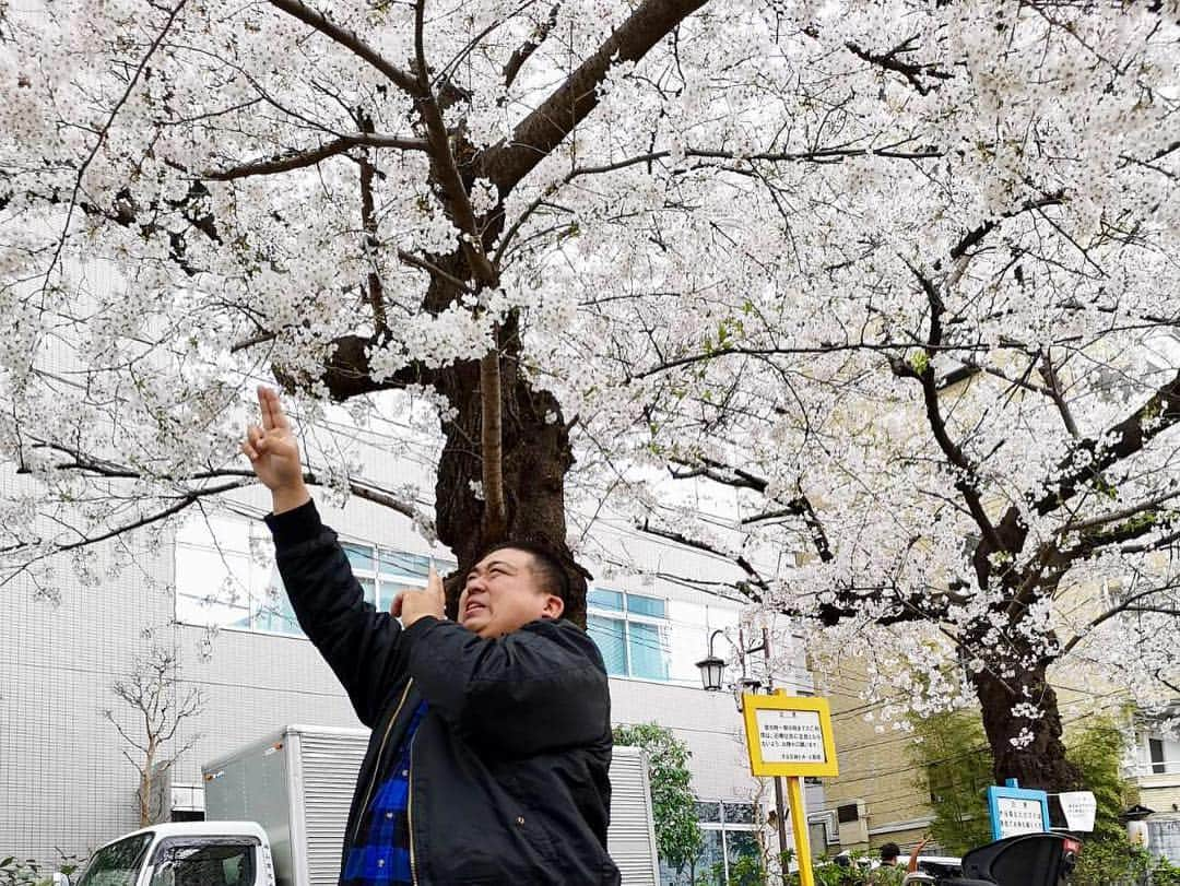 GO!皆川さんのインスタグラム写真 - (GO!皆川Instagram)「‪花見。‬ ‪松竹の方々、誘ってくれて、仲間に入れてくれてありがとう。(^^)‬ ‪帰りのあったかいラーメンも美味しかった。‬ ‪#花見 ‬」4月3日 15時46分 - go_minagawa