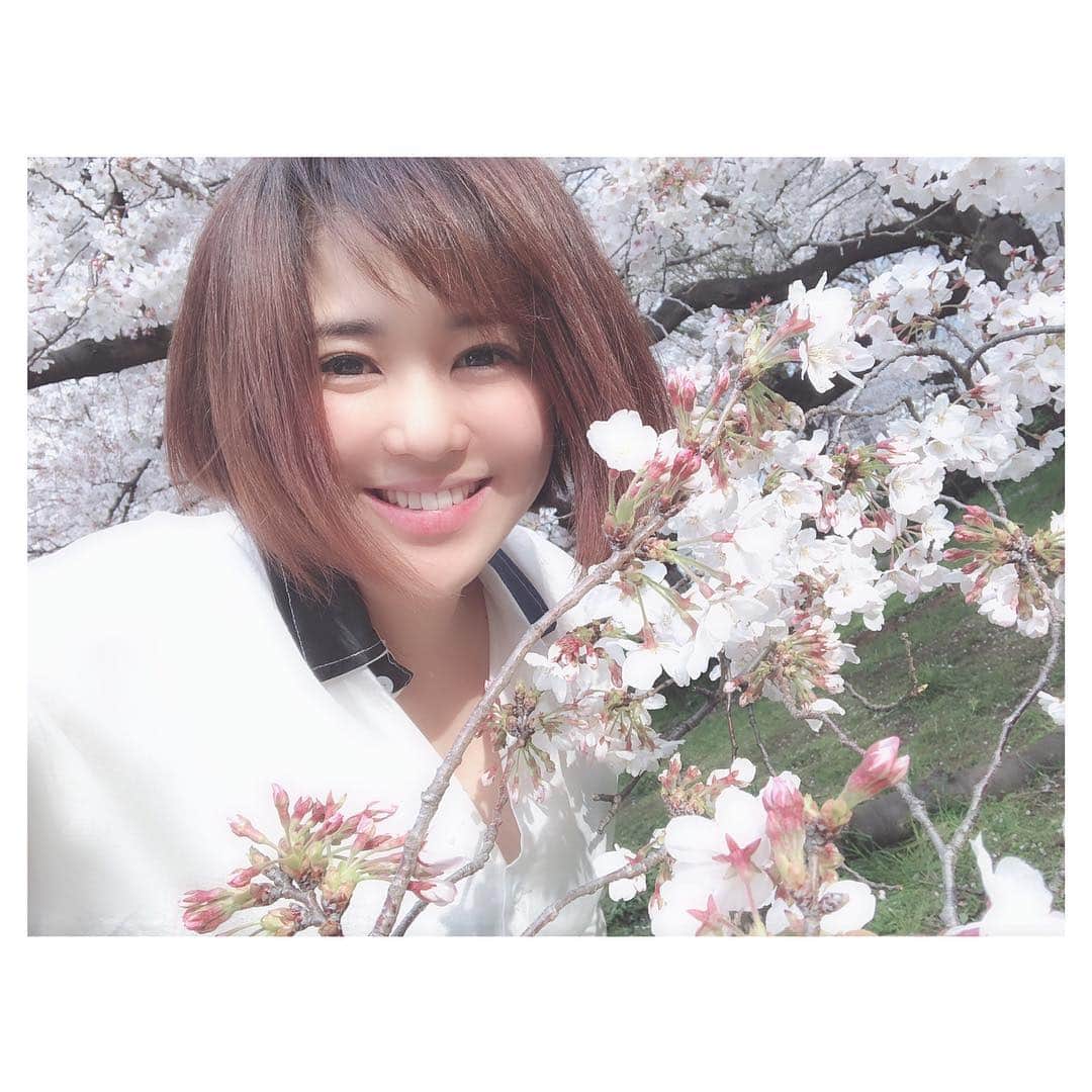 蒼井そらのインスタグラム：「Cherry blossoms at a park in Japan.  #cherryblossoms」