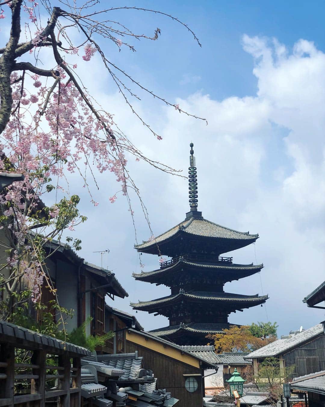 YUUKIさんのインスタグラム写真 - (YUUKIInstagram)「久々に京都へ‼︎ 打ち合わせがメインですが 空き時間に少しだけ観光も(^^)/ #kyoto  #instagood #japan #photooftheday #photography #spring #work #cherryblossom #flower #京都 #春の訪れ #桜 #五重の塔と桜 #風情 #歴史ある場所」4月3日 16時15分 - yuuki_._official