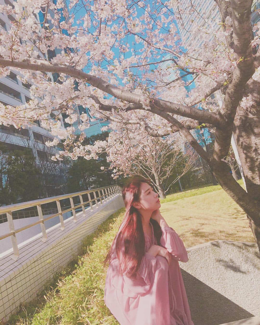 水城夢子さんのインスタグラム写真 - (水城夢子Instagram)「20190403 . . . . . . . . . . #花見」4月3日 16時17分 - mizukiyumeko