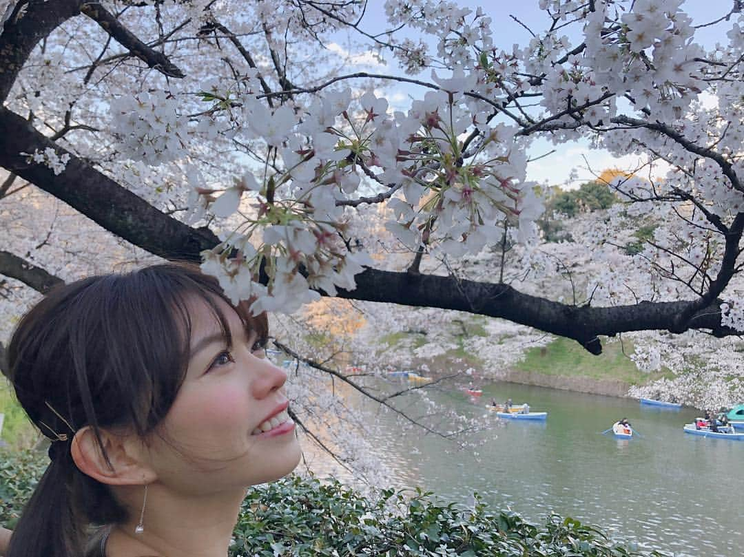 嶋村瞳さんのインスタグラム写真 - (嶋村瞳Instagram)「平成最後の桜🌸  #嶋村瞳 #桜 #ポートレート #ミス東スポ #グラビアアイドル #グラドル #タレント #モデル #リポーター #ボートレース #model #sexy #portrait #camera #love #smile #picoftheday #make #fashion #instagood #beautiful #코디 #음악 #화장 #followme #follow #팔로우 #셀스타그램 #데일리록 #메이크업」4月3日 16時20分 - hitomi_shimamura_official