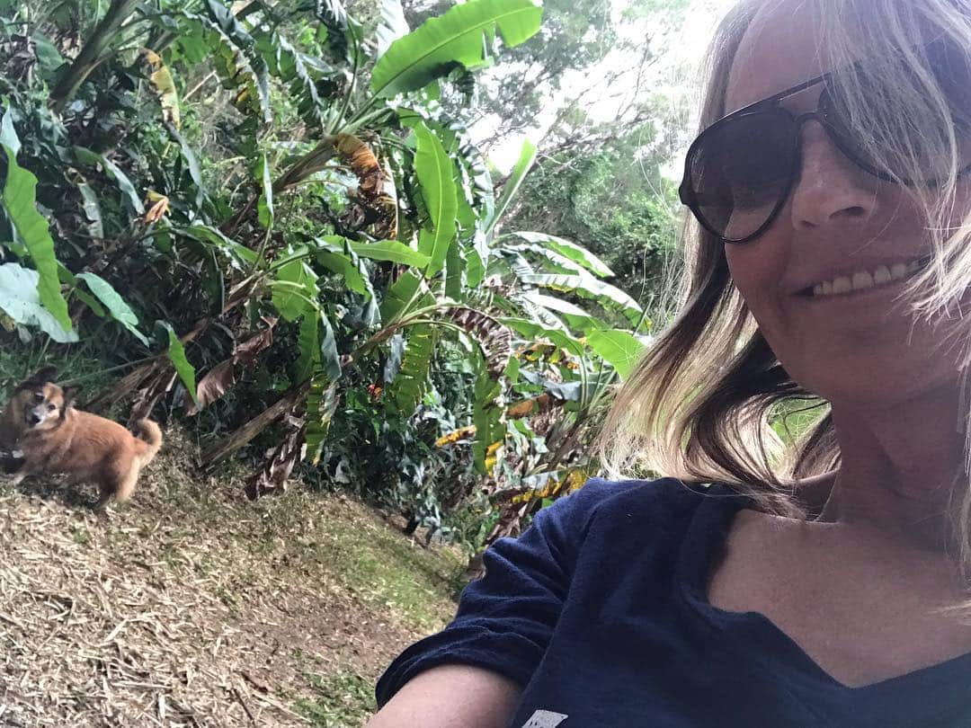 ヘレン・ハントさんのインスタグラム写真 - (ヘレン・ハントInstagram)「Made a friend in the jungle today. #dogsofhawaii」4月3日 16時41分 - helenhunt