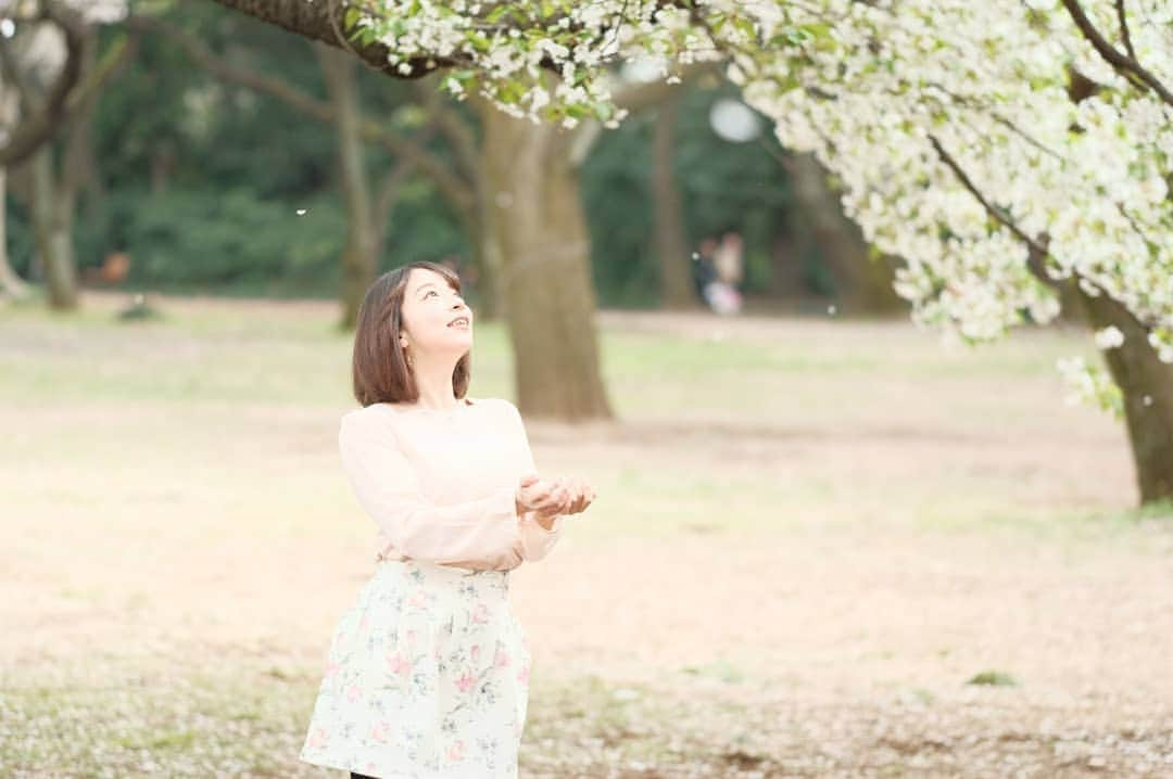 宮森セーラさんのインスタグラム写真 - (宮森セーラInstagram)「﻿ ﻿ photo by 鵜飼主水﻿ ﻿ 初めてのもんちゃんカメラ📷﻿ 撮って出しをいただきました！﻿ 無加工でこの色味すごいなぁー。﻿ ﻿ いろんな私を切り取ってもらえて嬉しいなぁ。﻿ ﻿ 素敵な写真祭りで沢山載せたくなっちゃう。  #鵜飼主水 #宮森セーラ #女優 #俳優 #ポートレート  #桜ポートレート #写真 #モデル #撮影 #photo #model #cherryblossom #🌸」4月3日 16時37分 - sela_miyamori