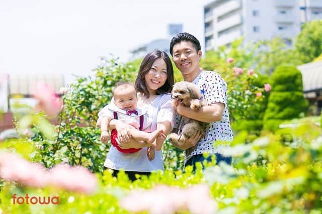 otowa (フォトワ)さんのインスタグラム写真 - (otowa (フォトワ)Instagram)「.﻿ ﻿ 桜が終わると新緑の季節に。﻿ 緑の多いのスポットでの撮影も、写真に彩が出て素敵ですよね🌱﻿ ﻿ ぽかぽか気持ちの良い時期になったら、ぜひ外での撮影を♩﻿ ﻿ ﻿ 📷さい様のお写真より﻿ ﻿ Photo by meganecco Photography（https://fotowa.com/photographers/meganecco_Photography/reviews/704）﻿ ﻿ .............﻿ ﻿ #fotowa #出張撮影﻿ ﻿ #出張カメラマン #家族写真 #ファミリーフォト﻿ #キッズコーデ #写真好きな人と繋がりたい #新米ママ﻿ #親バカ部 #赤ちゃん #おやばか部 #赤ちゃんのいる暮らし﻿ #暮らし #コドモダカラ #親子 #キズナ #子育て﻿ #赤ちゃんのいる生活 #育児 #子育てぐらむ﻿ #男の子ママ #男の子パパ #犬と赤ちゃん」4月3日 16時54分 - fotowa.jp