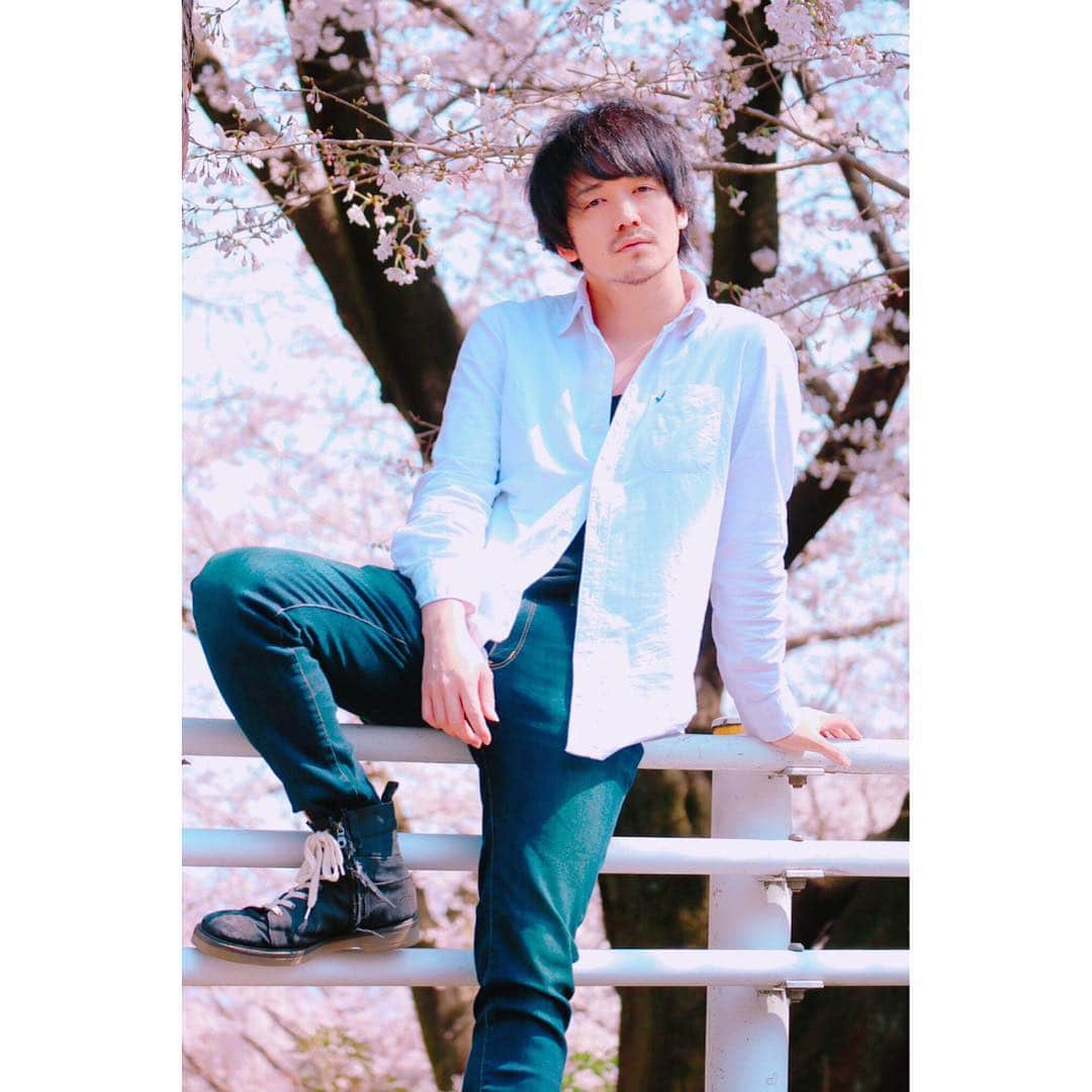 三浦孝太さんのインスタグラム写真 - (三浦孝太Instagram)「桜は満開 でも間も無く散る 満開もいいが 散りゆく桜が より良いのはなんでやろ  #なんでだろう #4月 #バースデー」4月3日 17時08分 - kota_3ura