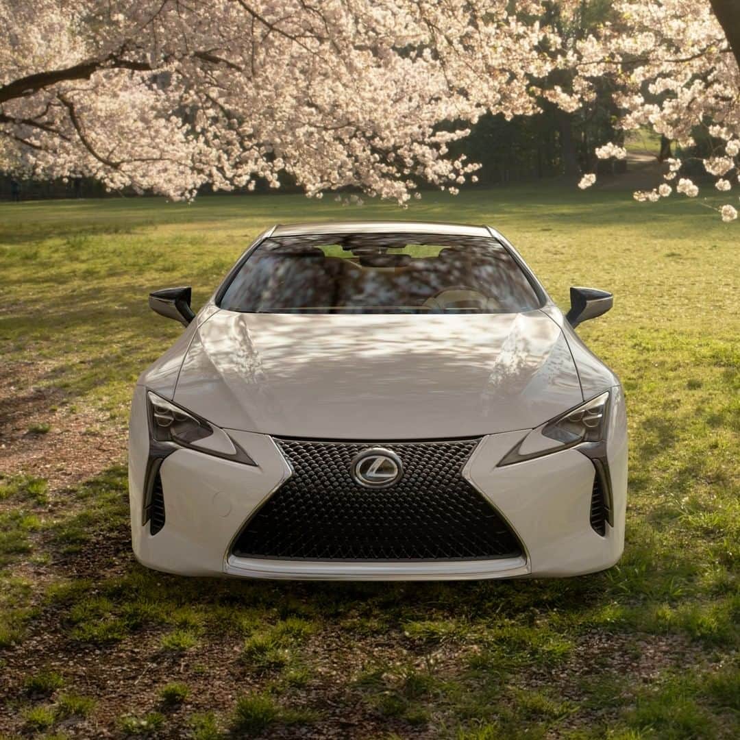 Lexus UKさんのインスタグラム写真 - (Lexus UKInstagram)「Celebrating #Sakura season with the #LexusLC on #GTSport.  #Automotive #Lexus #CherryBlossom」4月3日 17時00分 - lexusuk