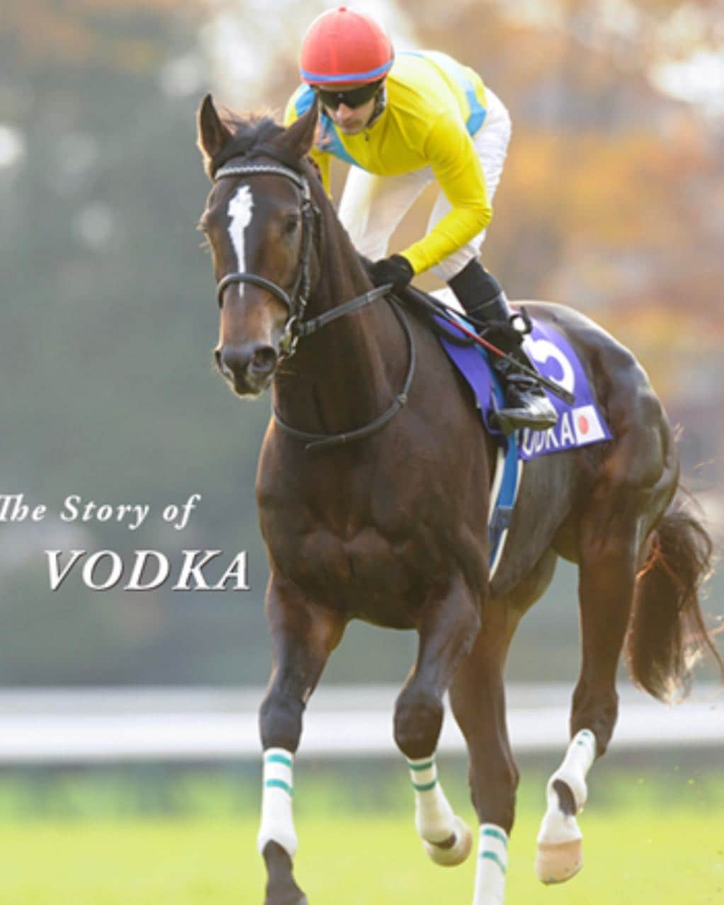 クリストフ・ルメールさんのインスタグラム写真 - (クリストフ・ルメールInstagram)「RIP VODKA #superhorse#championhorse#japancup#jra」4月3日 17時38分 - christophelemaire_officiel