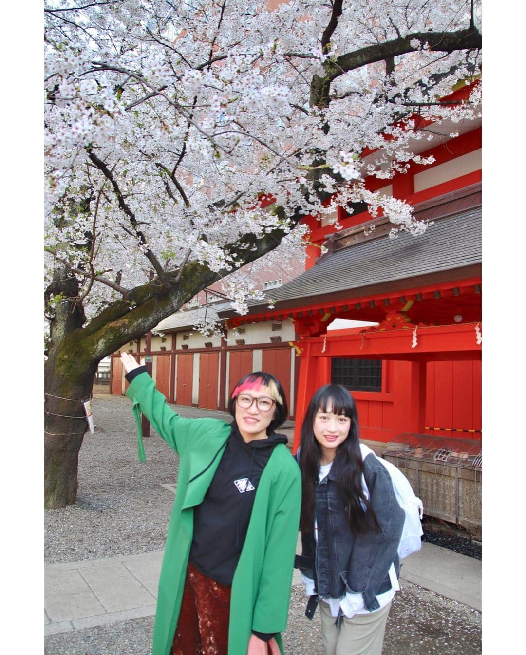 松浦志穂さんのインスタグラム写真 - (松浦志穂Instagram)「花園神社。満開でございます💁‍♀️🌸🌸 ・ #花見 #令和」4月3日 17時51分 - matushiho