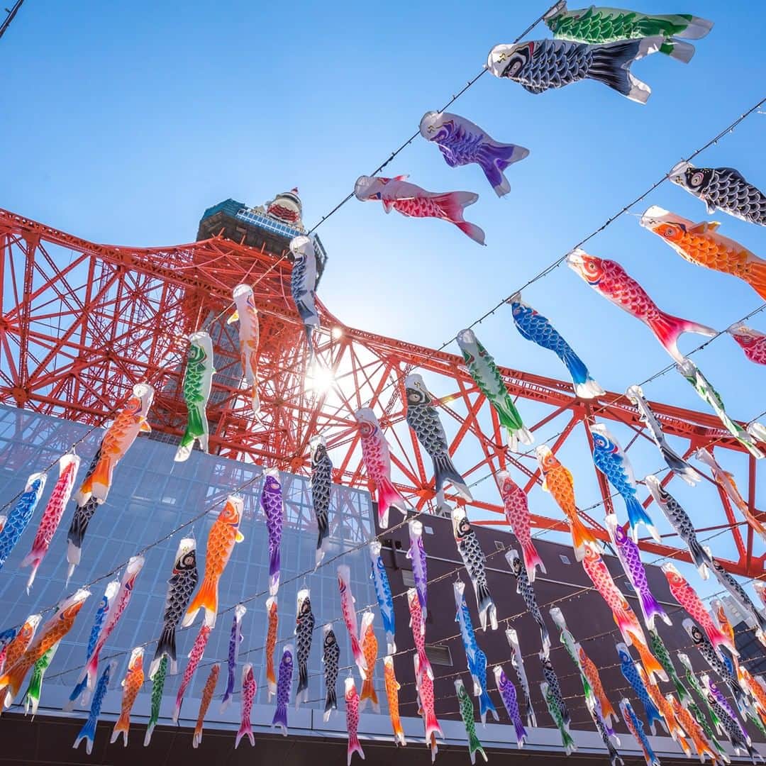 楽天トラベル さんのインスタグラム写真 - (楽天トラベル Instagram)「at Tokyo tower #端午の節句 の特別企画として東京タワーの高さ333mにちなんで333匹の鯉のぼりと1匹の巨大さんまのぼりが#東京タワー の入口を飾ります✨東京タワーと鯉のぼりの"2ショット"をぜひ見に訪れてみては？😊 2019/3/29～5/6　17:00～23:00ライトアップ実施 . ********************* 📷フォトコンテスト開催中📷 もう一度行きたい旅先で撮影した写真に #楽天もう一度行きたい旅 をつけて投稿してね♪ 最優秀賞には3万円クーポンプレゼント😆 ********************* . #楽天トラベル #楽天  #rakutentravel #旅 #旅行 #旅に出よう #旅行好きな人と繋がりたい #travel #trip #日本 #japan #일본 #instagramjapan #IG_JAPAN #japantrip #鯉のぼり #tokyotower #東京 #tokyo」4月3日 18時00分 - rakutentravel