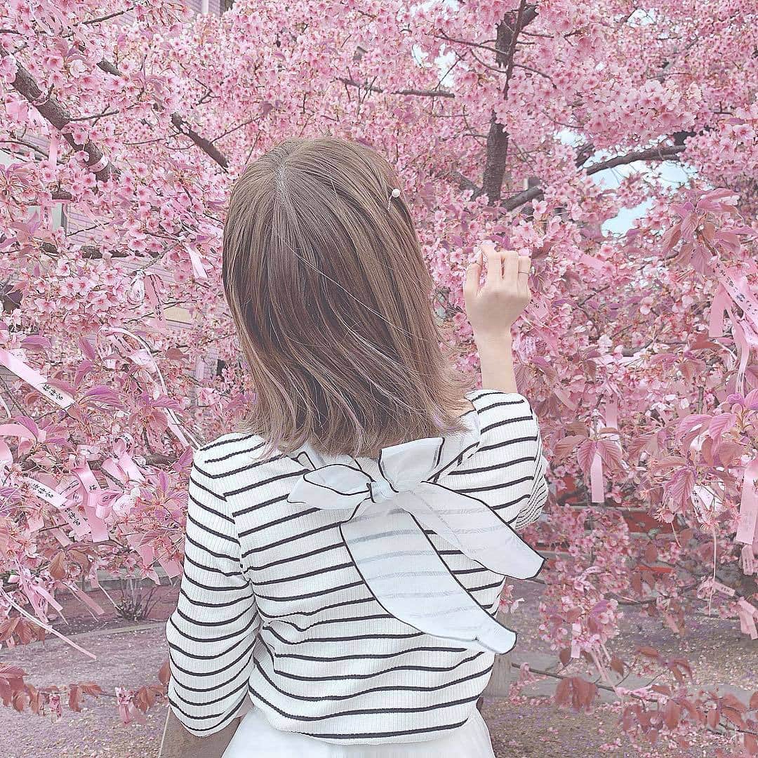MERYさんのインスタグラム写真 - (MERYInstagram)「. 春の風物詩「桜」は、地域によっては見頃を迎えているそう♩ お友達や大切な人を誘ってお花見に出かけてみてはいかが？ . お花見に合わせてとっておきのお洋服を着ていけば、さらに気分が上がりそうですね♡ . MERYでは他にも「かわいい」に近づくさまざまな情報を発信しています。 @mery.beauty コスメ・美容に特化した情報をお届け♡ @mery_spot 話題のカフェやお出かけスポットをご紹介！ こちらもぜひチェックしてみてください！ . . photo by @hikonyan0909 . #MERY #regram #instagram #photogenic #instagenic #instagood #instalike #sakura #cherryblossom #桜 #開花宣言 #お花見 #お花見デート #花見スポット #お花見コーデ #新学期 #春 #ピンク #春トップス #バックコンシャス #ボーダー柄 #ガーリー #春服 #春コーデ #お花のある生活 #お洒落さんと繋がりたい #デートコーデ #デートスポット #MERY女子 #メリー」4月3日 18時00分 - mery.jp
