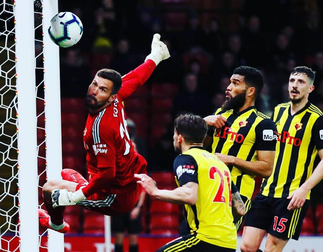 プレミアリーグさんのインスタグラム写真 - (プレミアリーグInstagram)「Surely this went in? 👀 . @benfosters caps his birthday in style with this acrobatic save to help @watfordfcofficial chalk up another #PL victory . #premierleague #WATFUL」4月3日 17時56分 - premierleague