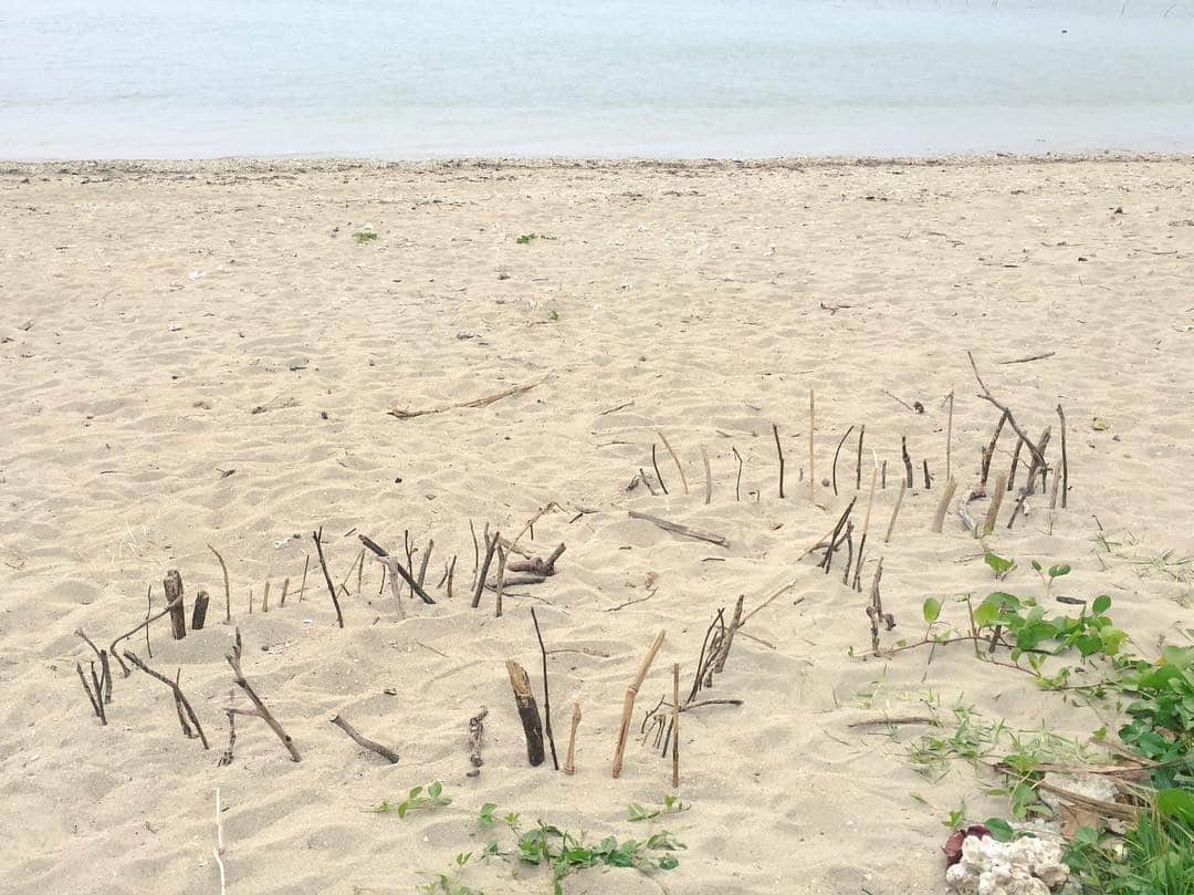 田辺あゆみさんのインスタグラム写真 - (田辺あゆみInstagram)「🌊 だれが作ったんだろうね。 かわいい木の囲いが砂浜にありました。 #agnesmix」4月3日 17時57分 - _ayumitanabe_