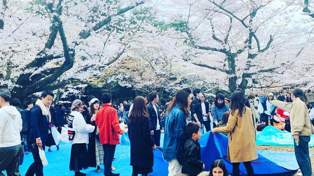 松本あやりさんのインスタグラム写真 - (松本あやりInstagram)「みんなだいすき🥺💕 #代々木公園#花見#変な外国人に絡まれて警察きた👮‍♂️#まじなんなん#りかが色々作ってきてくれた#ましそよ#今日久しぶりに仕事#今月誕生日って内緒#誕生日っていつから嬉しくなくなった？w」4月3日 18時06分 - ayarinrin85