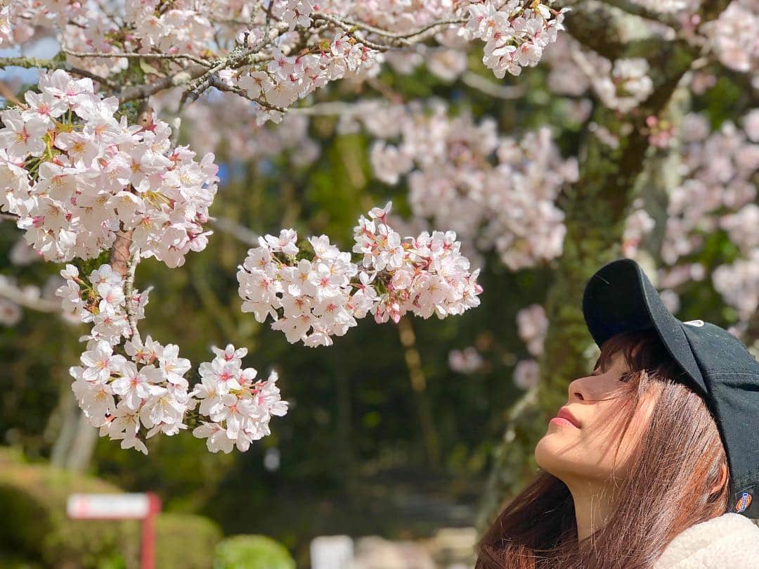 青木理奈さんのインスタグラム写真 - (青木理奈Instagram)「桜🌸  #桜 #写真好きな人と繋がりたい #佐賀 #花見」4月3日 18時26分 - rin.427