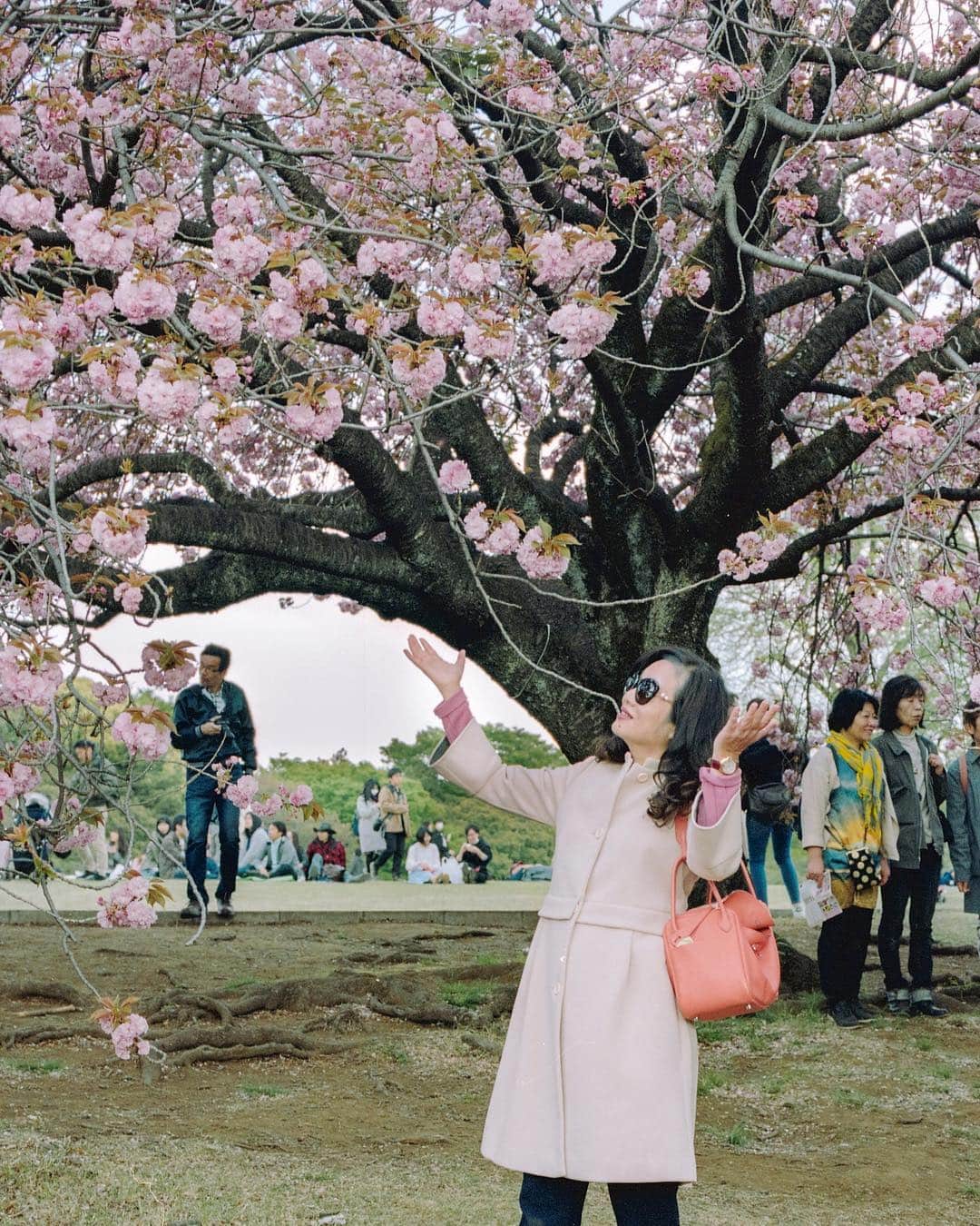 AnOther Magazineさんのインスタグラム写真 - (AnOther MagazineInstagram)「Photos of people taking photos in front of cherry blossom in Tokyo. Sakura season – and all the selfies that go with it – is here 🌸🤳⁣⠀ ⁣⠀ 📷 by @sybillapatrizia」4月3日 18時21分 - anothermagazine