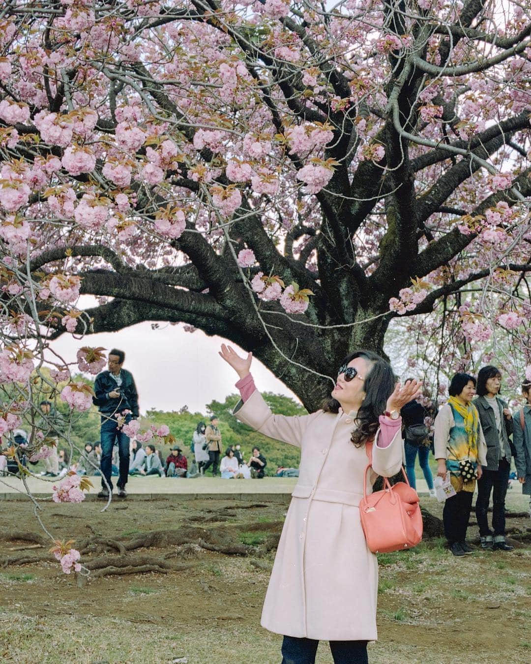 AnOther Magazineさんのインスタグラム写真 - (AnOther MagazineInstagram)「Photos of people taking photos in front of cherry blossom in Tokyo. Sakura season – and all the selfies that go with it – is here 🌸🤳⁣⠀ ⁣⠀ 📷 by @sybillapatrizia」4月3日 18時21分 - anothermagazine