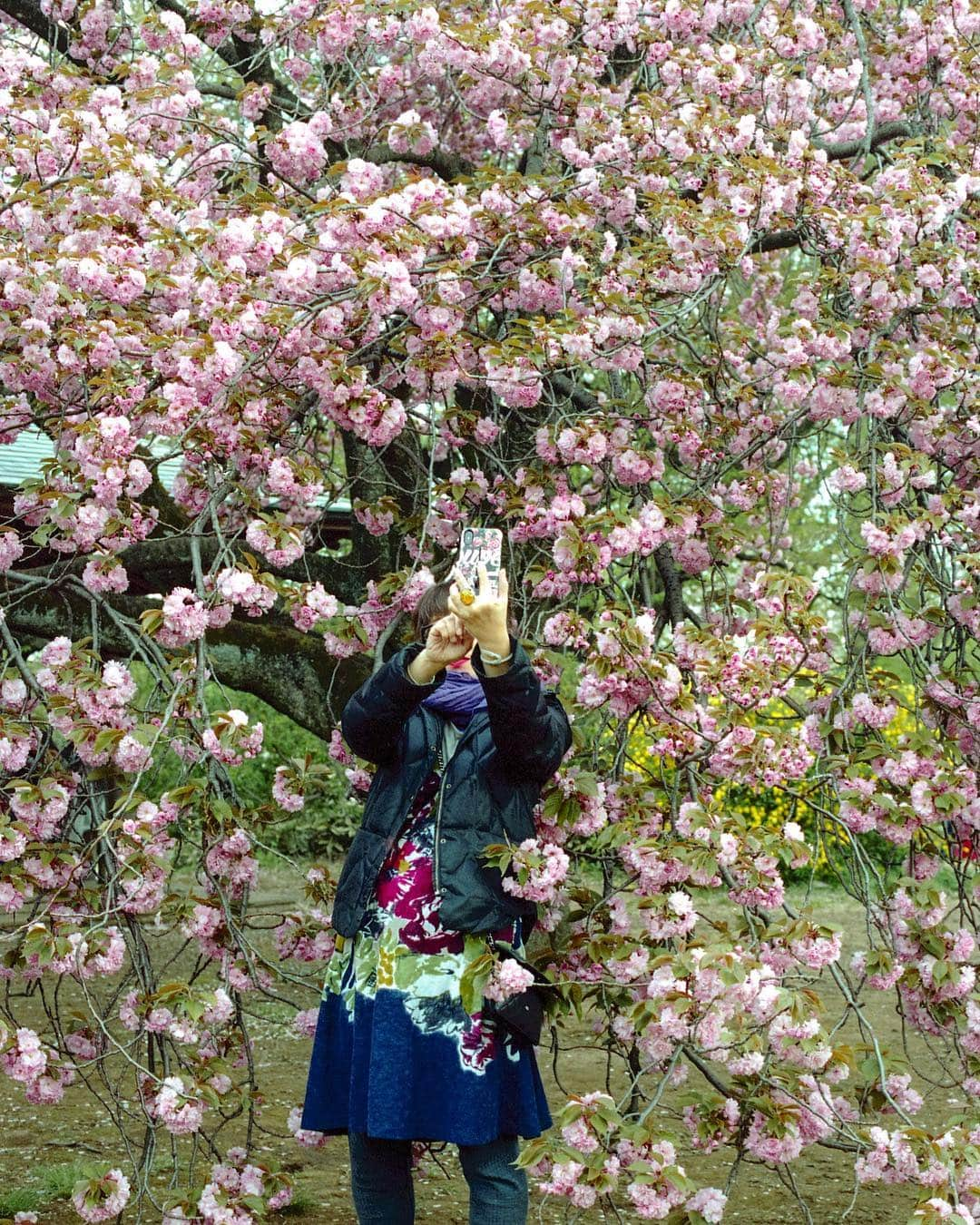 AnOther Magazineさんのインスタグラム写真 - (AnOther MagazineInstagram)「Photos of people taking photos in front of cherry blossom in Tokyo. Sakura season – and all the selfies that go with it – is here 🌸🤳⁣⠀ ⁣⠀ 📷 by @sybillapatrizia」4月3日 18時21分 - anothermagazine