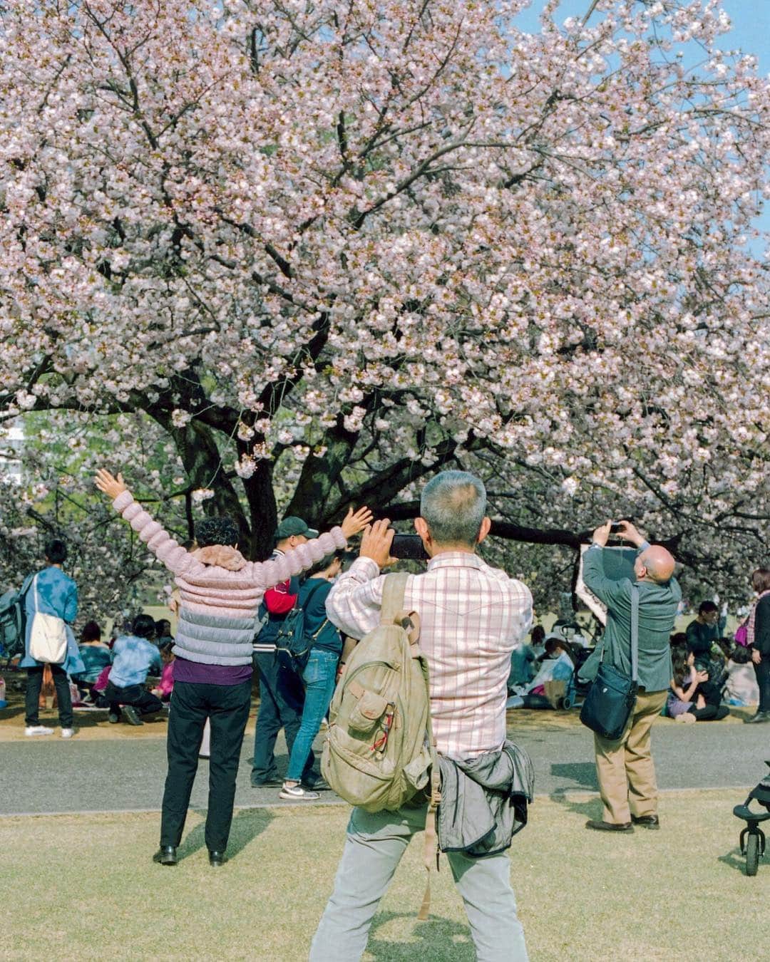 AnOther Magazineさんのインスタグラム写真 - (AnOther MagazineInstagram)「Photos of people taking photos in front of cherry blossom in Tokyo. Sakura season – and all the selfies that go with it – is here 🌸🤳⁣⠀ ⁣⠀ 📷 by @sybillapatrizia」4月3日 18時21分 - anothermagazine