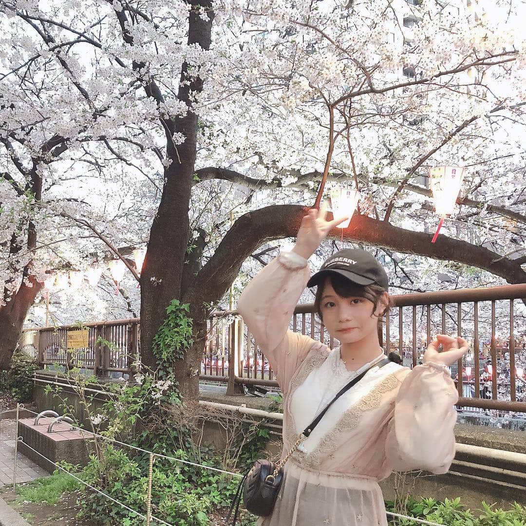 のインスタグラム：「. 一杯だけ〜とのんだ レモンサワーが とても強くて酔った🌸 . @17kg_official」