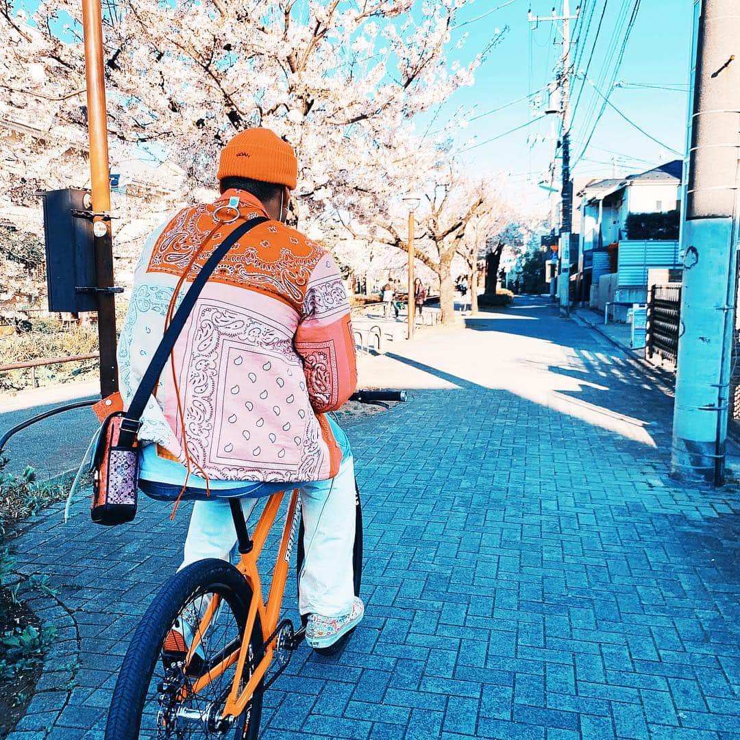 関口メンディーさんのインスタグラム写真 - (関口メンディーInstagram)「お花見ボーイズ🌸🚴‍♂️🌸 #お花見サイクリング」4月3日 18時32分 - mandy_sekiguchi_official