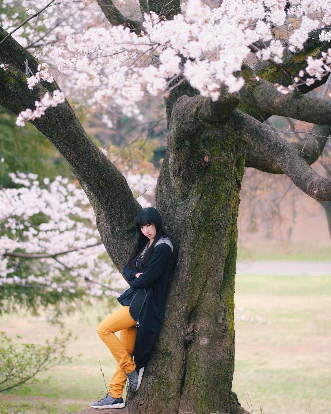 秋元るいさんのインスタグラム写真 - (秋元るいInstagram)「桜ポトレいっぱいできてうれしい🌸🌸🌸 . . #マシュマロ撮影会 #光が丘 #portrait #portraitphotography #good_portraits_world #lovers_nippon_portrait #portraits #jp_portrait部 #ポートレート #photography #写真好きな人と繋がりたい #ファインダー越しの私の世界 #instagood #fashion #photographer #photooftheday #東京カメラ部 #tokyocameraclub  #ポートレートしま専科 #japanesegirl #followme #ig_japan  #kawaiigirl #インスタグラマー #春コーデ #白コーデ #whitecode #sakura #sakura🌸 #今日のコーデ」4月3日 18時36分 - akimoto_rui