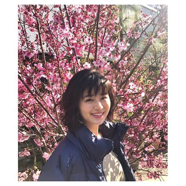 鈴木ちなみさんのインスタグラム写真 - (鈴木ちなみInstagram)「🌸💓 #美人百花」4月3日 18時53分 - chinami_suzuki0926