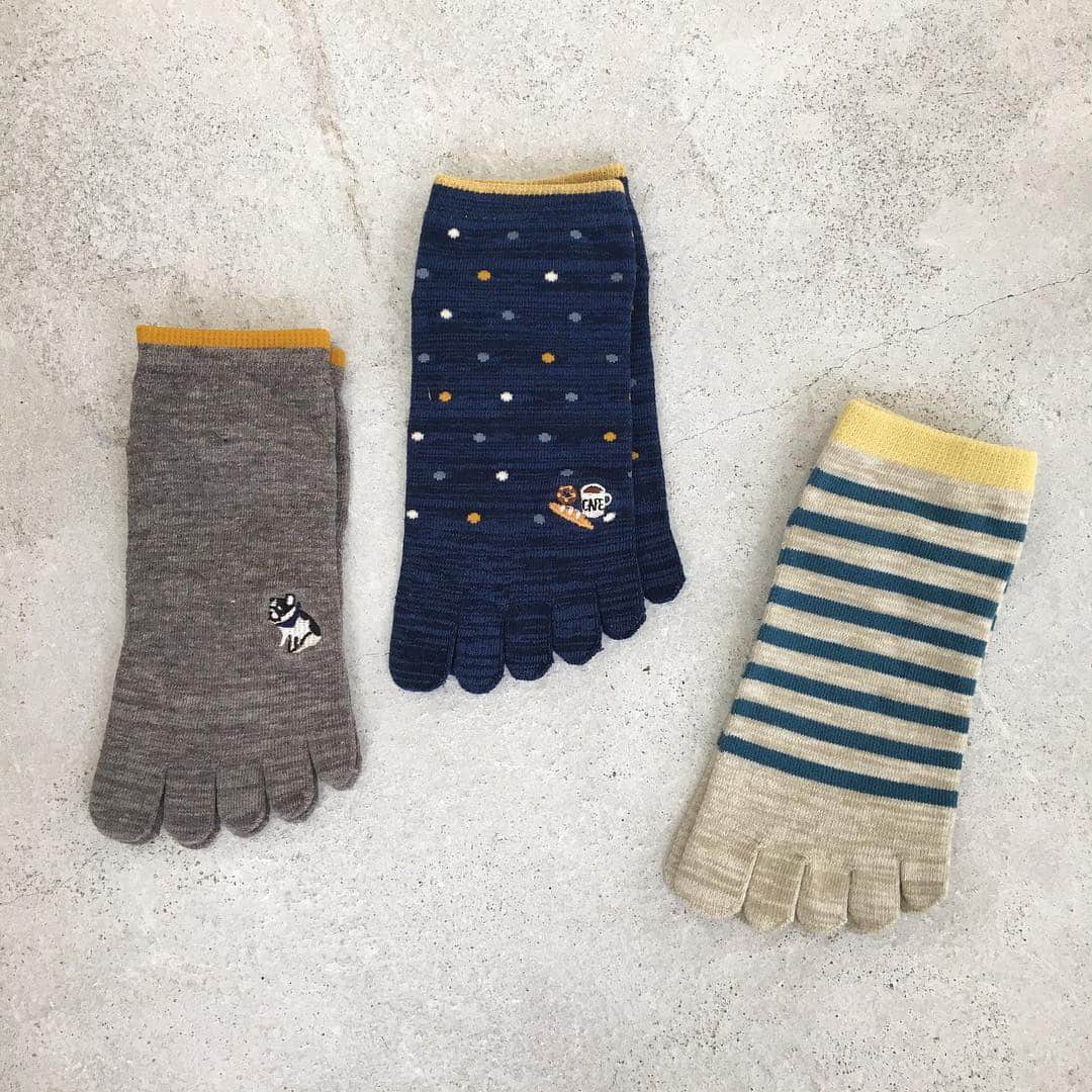 シャンブルオフィシャルさんのインスタグラム写真 - (シャンブルオフィシャルInstagram)「＊ ワンポイント刺繍や総柄が可愛い！ コソットさんシリーズです☺️♡ アルガンオイル加工でコソッときれいに💡👏 コソット ソックス 330円（564-0924他） . #chambre #シャンブル #靴下 #足元 #置き画くら部 #置き画 #ナチュラルコーデ #くつした部 #くつした #ソックス #靴下コーデ 店舗によって在庫が異なります。 売り切れの場合はご容赦下さい。 お取り寄せできない場合もございます。」4月3日 18時46分 - grchambre