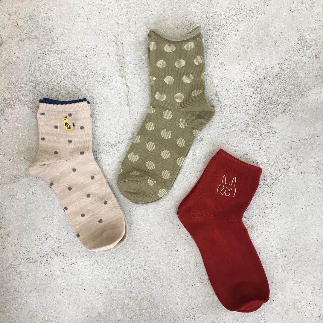 シャンブルオフィシャルさんのインスタグラム写真 - (シャンブルオフィシャルInstagram)「＊ ワンポイント刺繍や総柄が可愛い！ コソットさんシリーズです☺️♡ アルガンオイル加工でコソッときれいに💡👏 コソット ソックス 330円（564-0924他） . #chambre #シャンブル #靴下 #足元 #置き画くら部 #置き画 #ナチュラルコーデ #くつした部 #くつした #ソックス #靴下コーデ 店舗によって在庫が異なります。 売り切れの場合はご容赦下さい。 お取り寄せできない場合もございます。」4月3日 18時46分 - grchambre