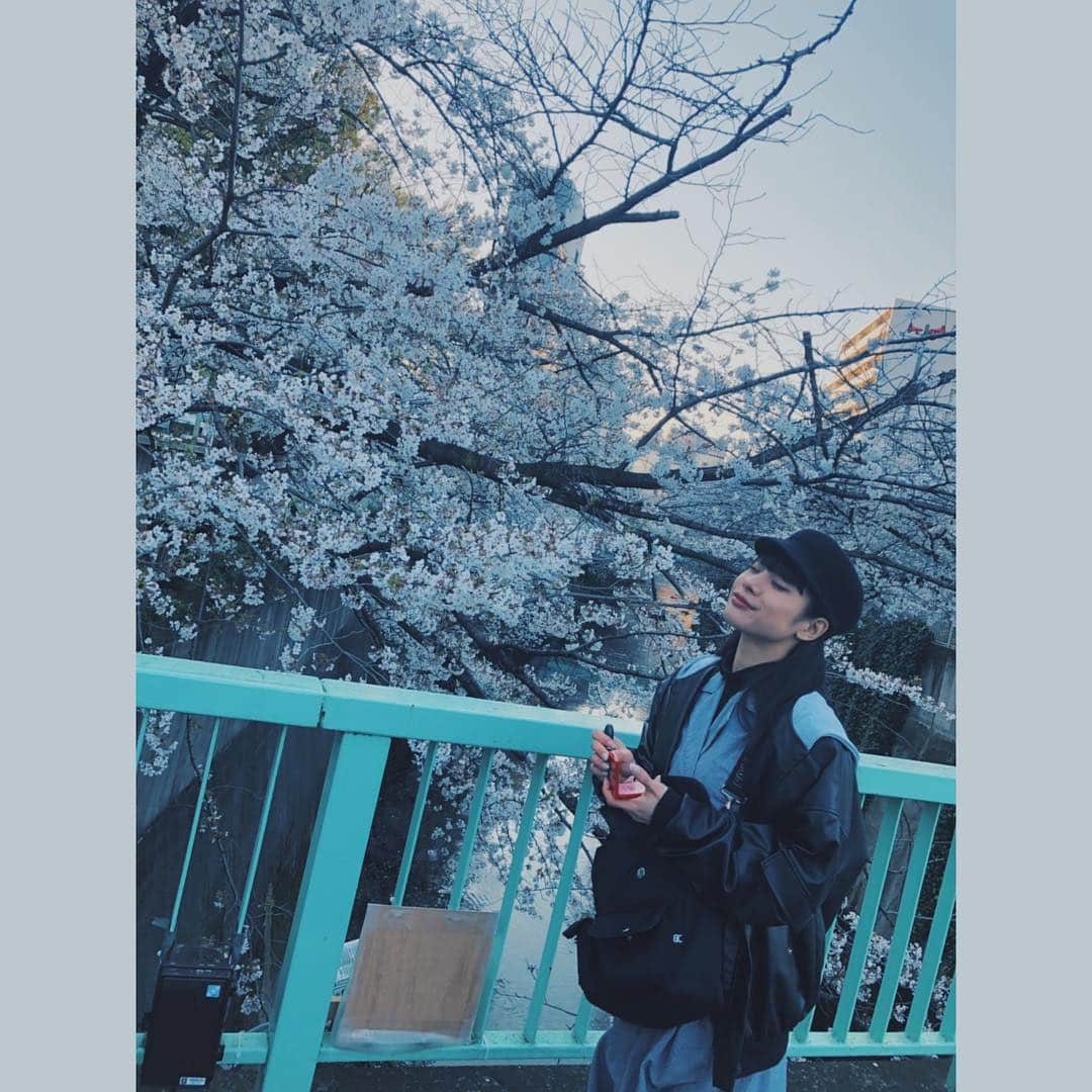 仲万美（Bambi Naka）さんのインスタグラム写真 - (仲万美（Bambi Naka）Instagram)「日本人で良かった。 #撮影の合間にお花見 #川に流れる桜の花びら #切なくも美しい」4月3日 19時03分 - 615_bambi