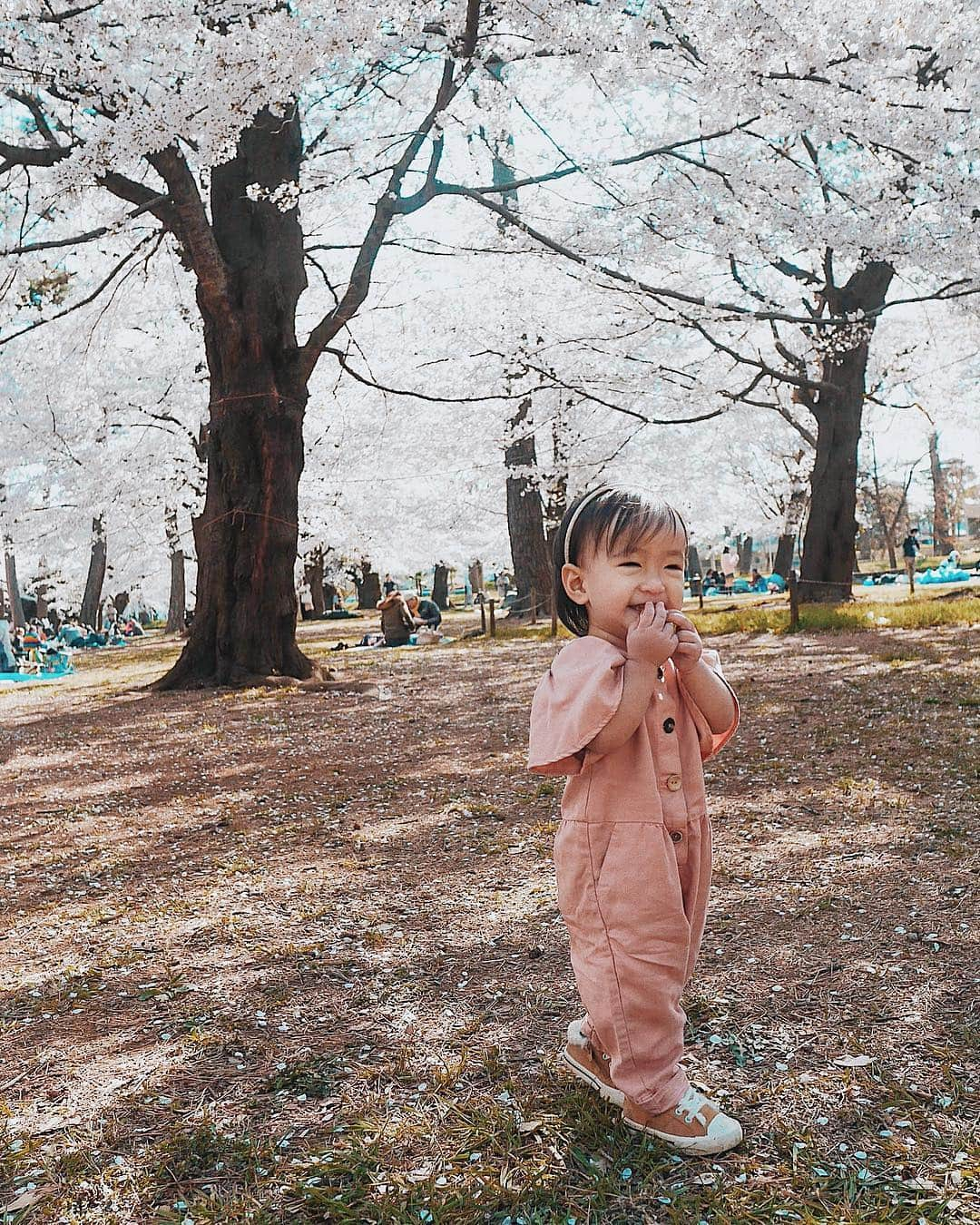 孫きょうさんのインスタグラム写真 - (孫きょうInstagram)「今日も桜散歩へ🌸🌸🌸 これぞ親バカ投稿、同じ顔でもシャッター止まらないw 手が全部口元なのはベビーカステラ頬張ってる🧸🍪 れおは「友達と遊ぶから行かないけど綿あめだけ買ってきて」と、おねだりだけはちゃっかり🙃🍭 . 久しぶりに一眼で撮ったけど、やっぱり綺麗✨ってなったり壊れてるぽくて全然ピントが合ってくれなかったり🔎スワイプ最後の2枚とか微妙にボケてて悔しいやつ。。 動きまくる子供を撮る時は奇跡の1枚狙うばりに連写だから、さいこーかわいー笑顔キターー！ってなってもw 見返したらピンボケなのが1番悔しいママあるある😥そろそろ一眼も新調どきかな💦」4月3日 19時07分 - sonkyou1013