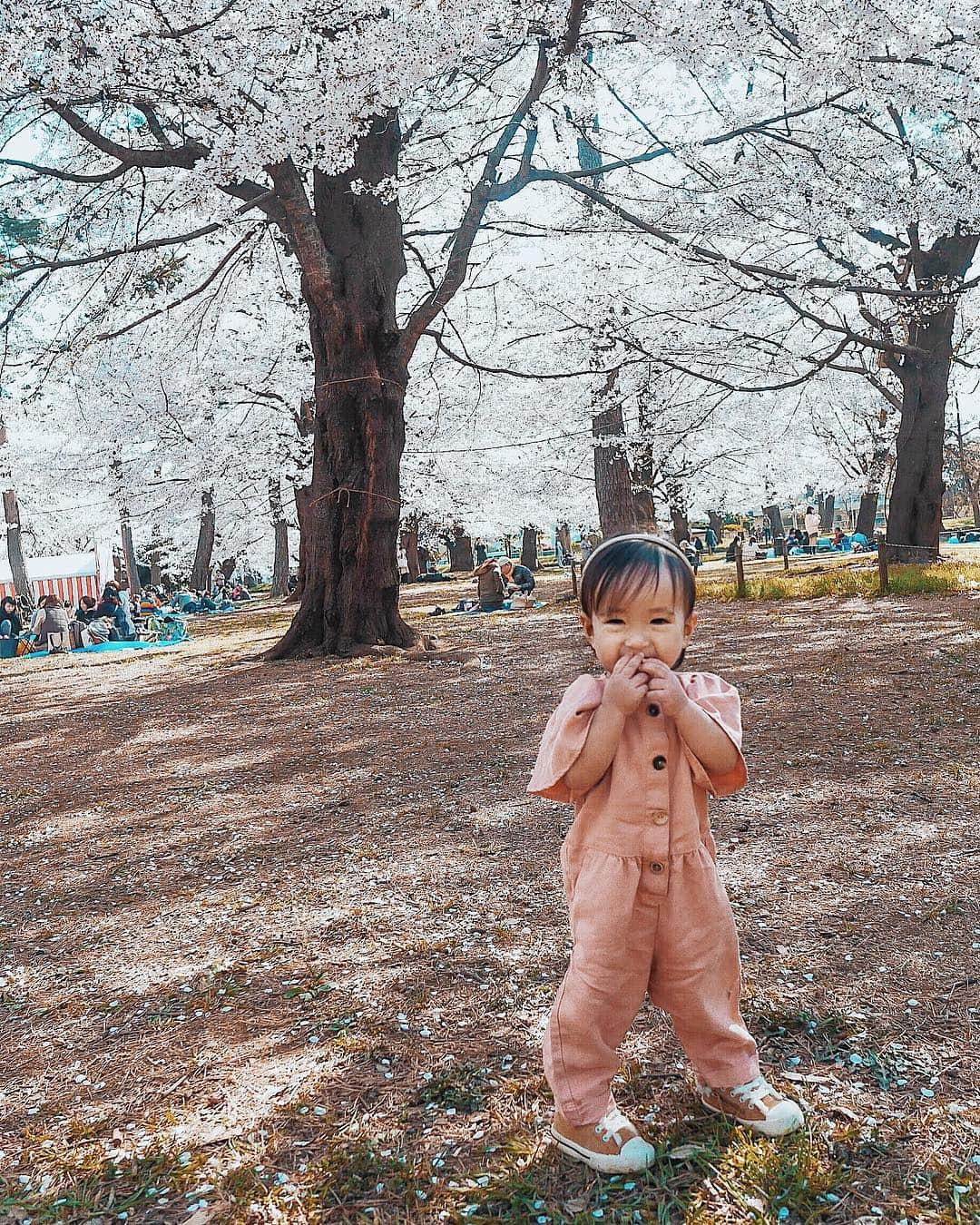 孫きょうさんのインスタグラム写真 - (孫きょうInstagram)「今日も桜散歩へ🌸🌸🌸 これぞ親バカ投稿、同じ顔でもシャッター止まらないw 手が全部口元なのはベビーカステラ頬張ってる🧸🍪 れおは「友達と遊ぶから行かないけど綿あめだけ買ってきて」と、おねだりだけはちゃっかり🙃🍭 . 久しぶりに一眼で撮ったけど、やっぱり綺麗✨ってなったり壊れてるぽくて全然ピントが合ってくれなかったり🔎スワイプ最後の2枚とか微妙にボケてて悔しいやつ。。 動きまくる子供を撮る時は奇跡の1枚狙うばりに連写だから、さいこーかわいー笑顔キターー！ってなってもw 見返したらピンボケなのが1番悔しいママあるある😥そろそろ一眼も新調どきかな💦」4月3日 19時07分 - sonkyou1013