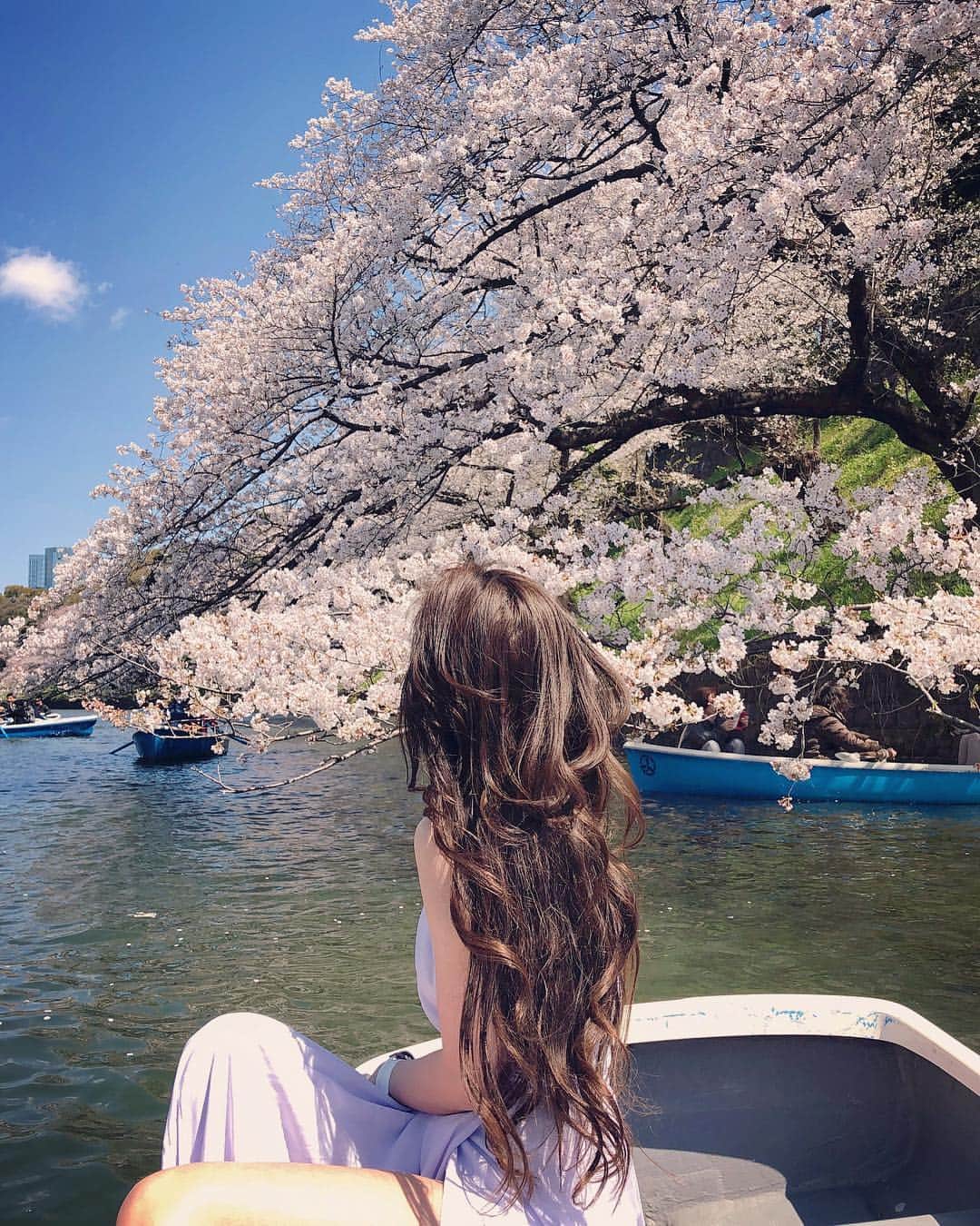 fukishaljさんのインスタグラム写真 - (fukishaljInstagram)「My favorite season in Japan 🌸#Sakura」4月3日 19時35分 - fukicammy_official