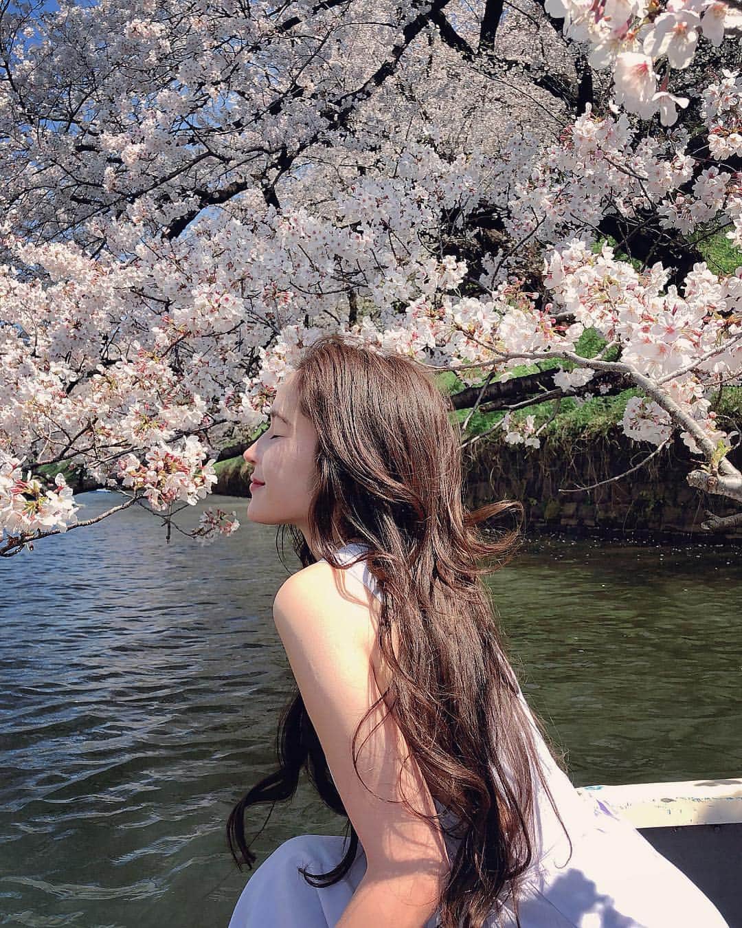 のインスタグラム：「My favorite season in Japan 🌸#Sakura」