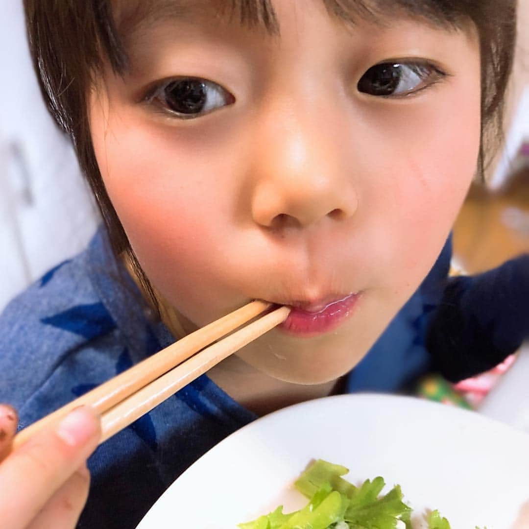 美奈子さんのインスタグラム写真 - (美奈子Instagram)「つまみ食い～！！ つまみ食いの現行犯だあ～🤣🤣 みんなでつまみ食いするから ご飯の時には おかずかなり減ってるよ。。。 毎回(꒪д꒪II笑笑  れんとがつまみ食いしてるのは お友達から頂いた 生で食べられる春菊💕💕 サラダでいただいたんだけど ハマる💕  #つまみ食い #れんと #サラダ春菊 #ハマる #美奈子」4月3日 19時30分 - minako_official