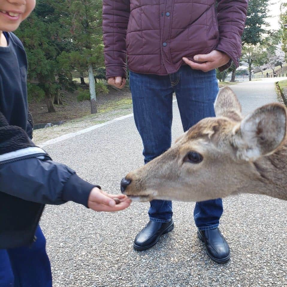 村田諒太さんのインスタグラム写真 - (村田諒太Instagram)「息子よ、岡山から奈良に移動したのは、この写真で分かるのだが、何日もなんの音沙汰も無いと、ちょいと寂しいぞ、たまには、パパ〜とか言って電話くれよな まったく、、 親離れより子離れが難しいのだな、本当は」4月3日 19時33分 - ryota_murata_official