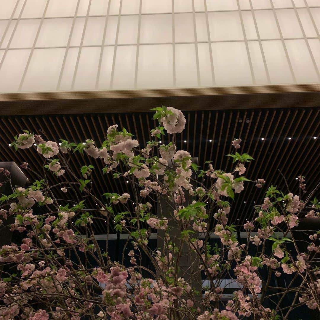 陳冠希さんのインスタグラム写真 - (陳冠希Instagram)「FOUR FOR FORE」4月3日 19時40分 - edisonchen