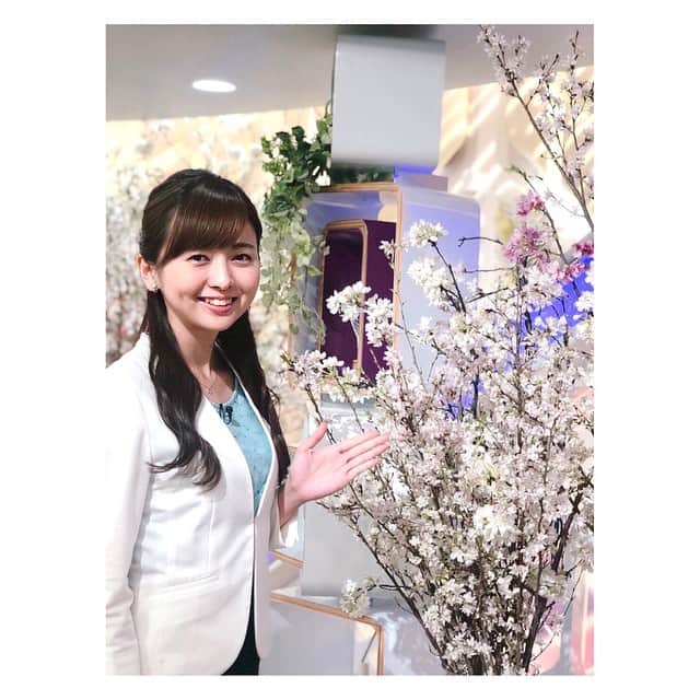 中谷しのぶのインスタグラム