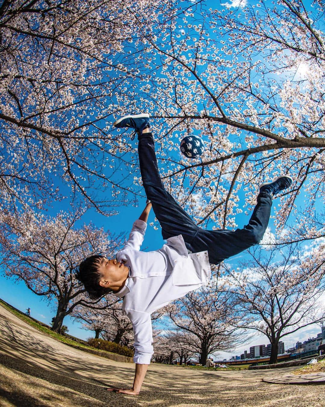 徳田耕太郎さんのインスタグラム写真 - (徳田耕太郎Instagram)「Sakura photo session with @jason_halayko 🌸 Thank you so much amazing shots🙏 Which one is your favorite?? #redbull #g_shock #skullcandy #sakura」4月3日 20時11分 - tokura_freestyle