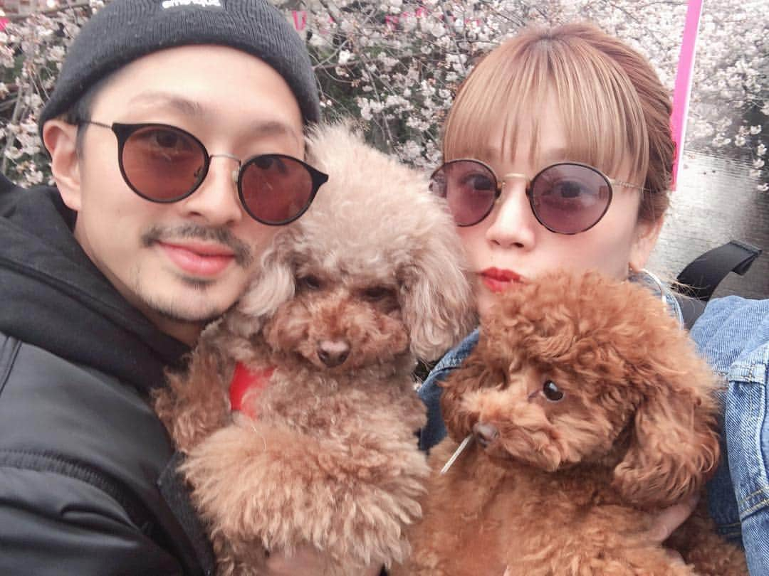 高山直子さんのインスタグラム写真 - (高山直子Instagram)「毎年恒例の👨🏻🐶🐶👧🏼 我が家の犬たち @koroponta は人が大好きで楽しそうにキョロキョロしてた❤️ 今年は長くお花見楽しめていいねぇ〜🌸 ・ #犬のいる暮らし #家族写真#犬好き#トイプードル #お花見#目黒川#中目黒#食べ歩き」4月3日 20時06分 - nao_70koro