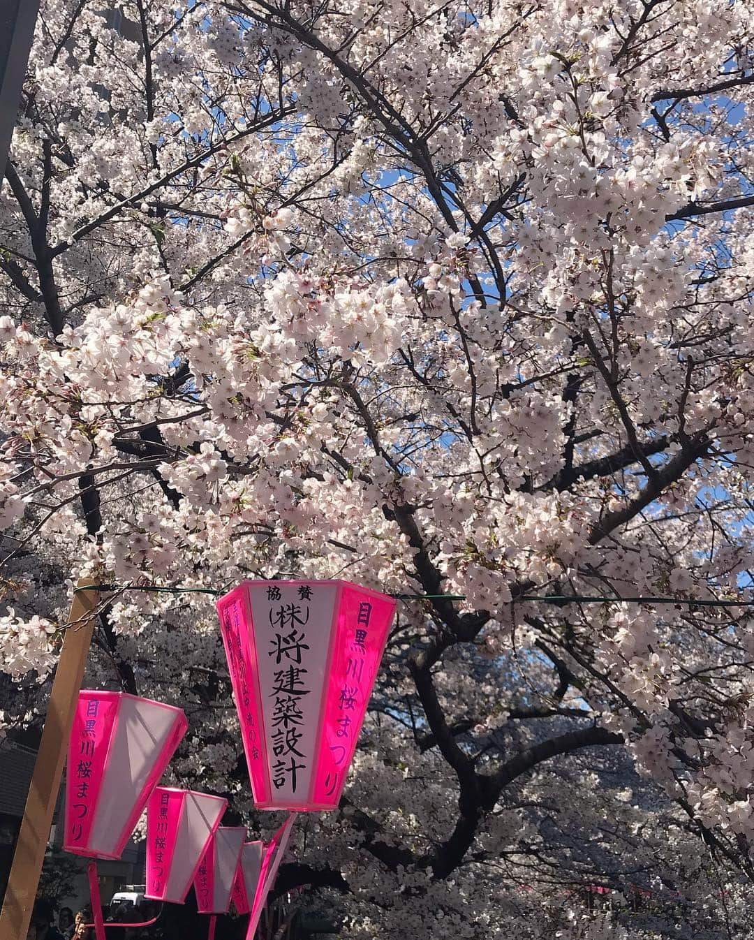 久松かおりさんのインスタグラム写真 - (久松かおりInstagram)「. まりなと目黒川の花見🌸🎵 もう今週で花見シーズンもおわりかな〜🙁💭 早く暖かくなってほしいよ〜 . . #花見 #お花見 #桜 #春 #目黒川 #🌸 #followｍe」4月3日 20時20分 - hisamatsu_kaori