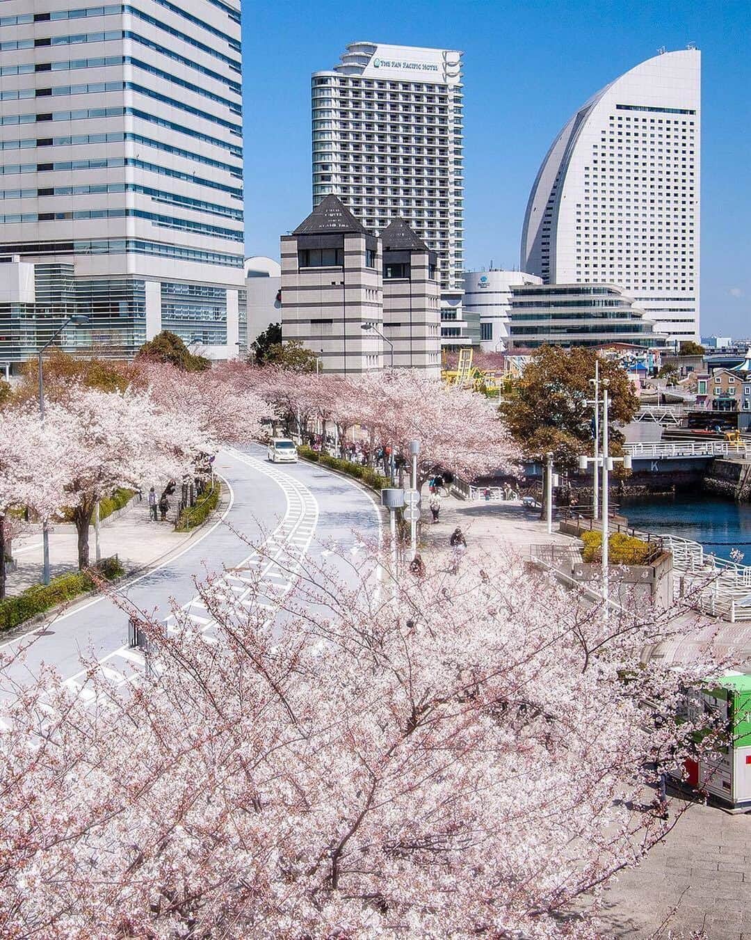 横浜市さんのインスタグラム写真 - (横浜市Instagram)「Hard to imagine a better day for a stroll! 🌸 Photo: @fuya_41 #myyokohama」4月3日 20時14分 - findyouryokohama_japan