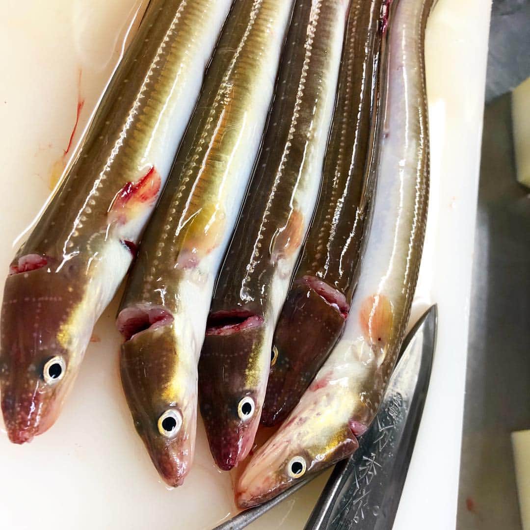 寿司居酒屋 番屋のグルメインスタ