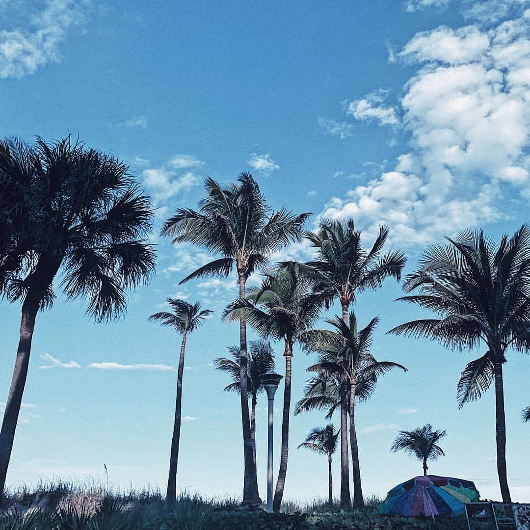 小原優花さんのインスタグラム写真 - (小原優花Instagram)「I want to go back to Miami🥺⛱🌴 ・ ・ #miami #florida #miamibeach #マイアミ #フロリダ #マイアミビーチ #絶賛時差ボケ中 #使い物になりません」4月3日 20時38分 - yunkoro519