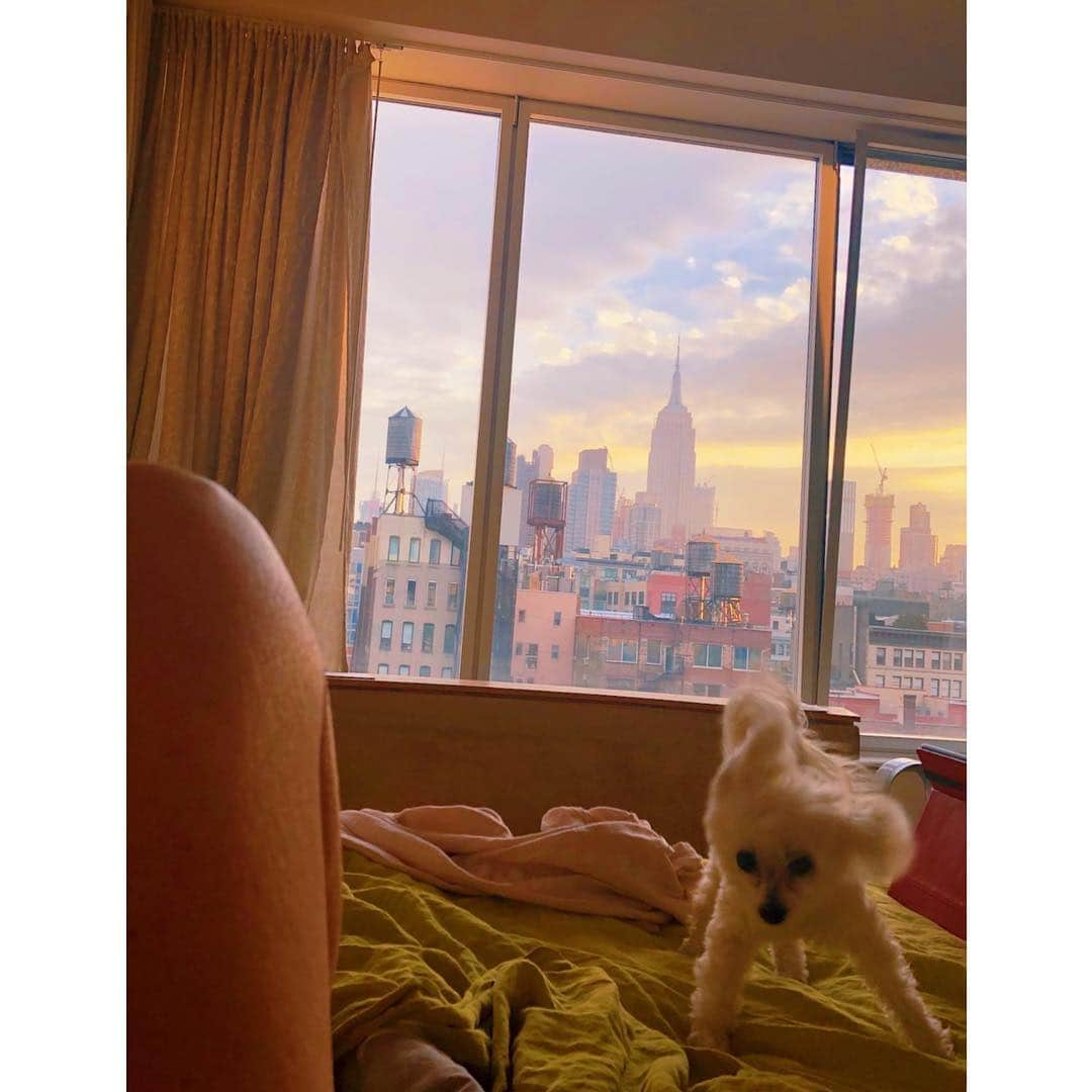 スーザン・サランドンさんのインスタグラム写真 - (スーザン・サランドンInstagram)「Morning ✌🏻」4月3日 20時40分 - susansarandon