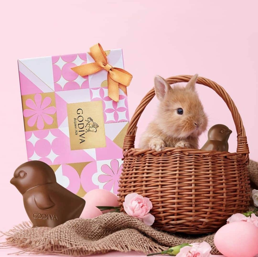 GODIVAさんのインスタグラム写真 - (GODIVAInstagram)「Some-bunny to love 💗」4月3日 20時45分 - godiva